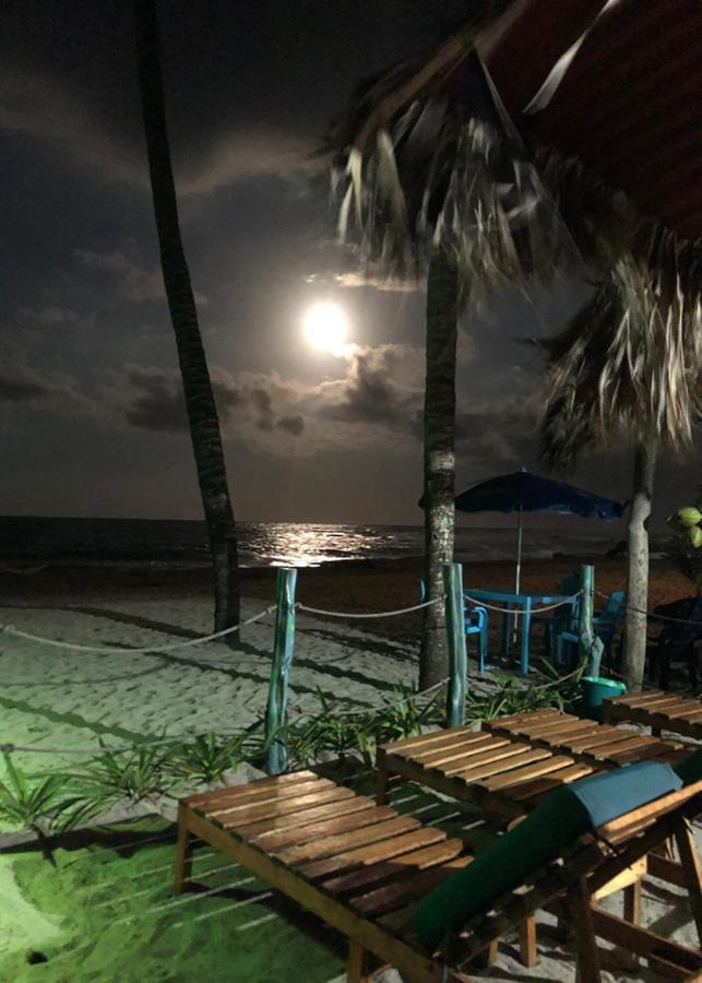 Palmario Hostal Guachaca Εξωτερικό φωτογραφία