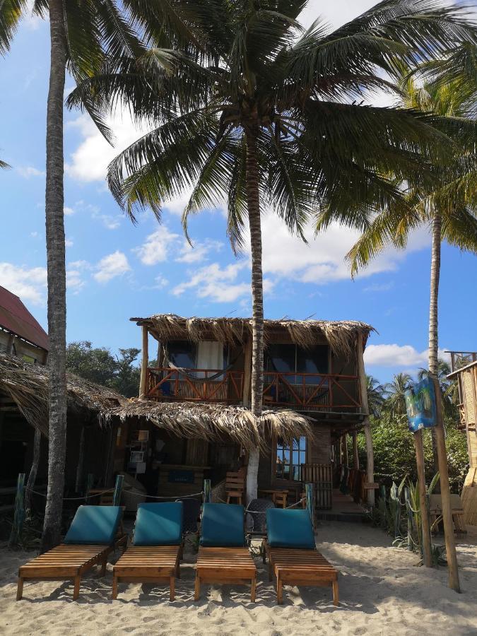 Palmario Hostal Guachaca Εξωτερικό φωτογραφία