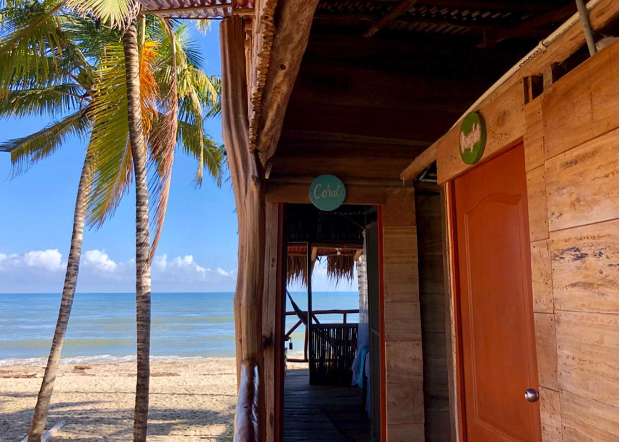 Palmario Hostal Guachaca Εξωτερικό φωτογραφία