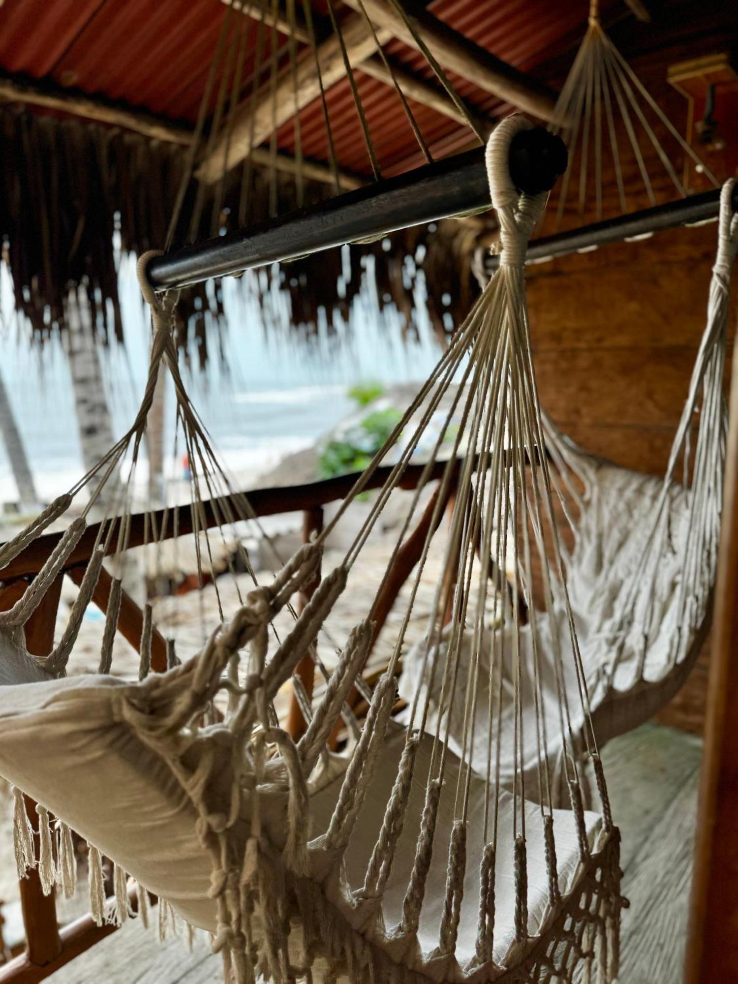 Palmario Hostal Guachaca Εξωτερικό φωτογραφία